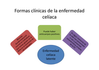 Formas clínicas de la enfermedad
             celíaca

               Puede haber
           anticuerpos positivos




              Enfermedad
                celíaca
                latente
 