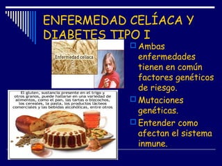 ENFERMEDAD CELÍACA Y
DIABETES TIPO I
 Ambas
enfermedades
tienen en común
factores genéticos
de riesgo.
 Mutaciones
genét...