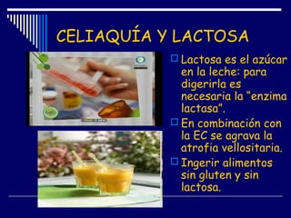 CELIAQUÍA Y LACTOSA
 Lactosa es el azúcar
en la leche: para
digerirla es
necesaria la “enzima
lactasa”.
 En combinación con
la EC se agrava la
atrofia vellositaria.
 Ingerir alimentos
sin gluten y sin
lactosa.
 
