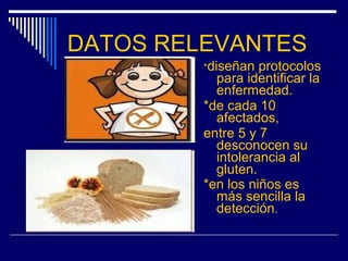 DATOS RELEVANTES
*diseñan protocolos
para identificar la
enfermedad.
*de cada 10
afectados,
entre 5 y 7
desconocen su
intolerancia al
gluten.
*en los niños es
más sencilla la
detección.
 