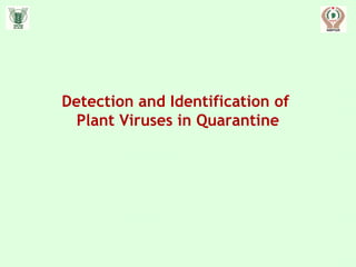 Detection and Identification of
Plant Viruses in Quarantine
 