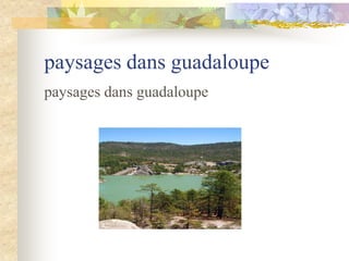 paysages dans guadaloupe
paysages dans guadaloupe
 