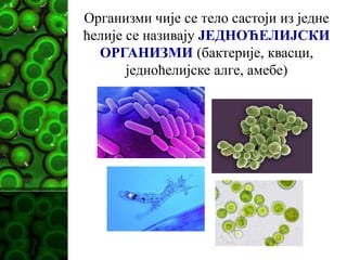 Организми чије се тело састоји из једне
ћелије се називају ЈЕДНОЋЕЛИЈСКИ
ОРГАНИЗМИ (бактерије, квасци,
једноћелијске алге, амебе)
 