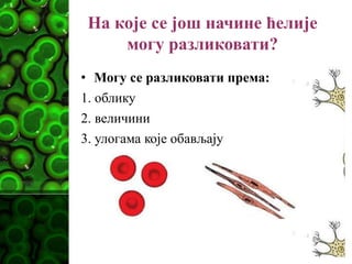 На које се још начине ћелије
могу разликовати?
• Могу се разликовати према:
1. облику
2. величини
3. улогама које обављају
 