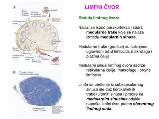 Ćelije, tkiva i organi imunskog sistema.pdf
