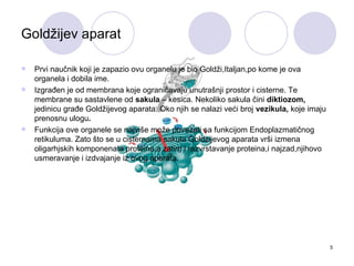 Goldžijev aparat

   Prvi naučnik koji je zapazio ovu organelu je bio Goldži,Italjan,po kome je ova
    organela i dobila ime.
   Izgrađen je od membrana koje ograničavaju unutrašnji prostor i cisterne. Te
    membrane su sastavlene od sakula – kesica. Nekoliko sakula čini diktiozom,
    jedinicu građe Goldžijevog aparata. Oko njih se nalazi veći broj vezikula, koje imaju
    prenosnu ulogu.
   Funkcija ove organele se najviše može povezati sa funkcijom Endoplazmatičnog
    retikuluma. Zato što se u cisternama sakula Goldzijevog aparata vrši izmena
    oligarhjskih komponenata proteina,a zatim i razvrstavanje proteina,i najzad,njihovo
    usmeravanje i izdvajanje iz ovog aparata.




                                                                                            5
 