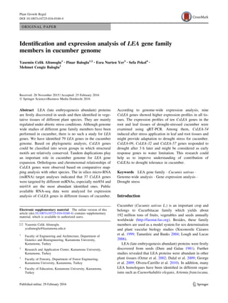 ORIGINAL PAPER
Identification and expression analysis of LEA gene family
members in cucumber genome
Yasemin Celik Altunoglu1 • Pinar Baloglu1,2 • Esra Nurten Yer3 • Sefa Pekol4 •
Mehmet Cengiz Baloglu1
Received: 28 November 2015 / Accepted: 25 February 2016
Ó Springer Science+Business Media Dordrecht 2016
Abstract LEA (late embryogenesis abundant) proteins
are firstly discovered in seeds and then identified in vege-
tative tissues of different plant species. They are mainly
regulated under abiotic stress conditions. Although genome
wide studies of different gene family members have been
performed in cucumber, there is no such a study for LEA
genes. We have identified 79 LEA genes in the cucumber
genome. Based on phylogenetic analysis, CsLEA genes
could be classified into seven groups in which structural
motifs are relatively conserved. Tandem duplications play
an important role in cucumber genome for LEA gene
expansion. Orthologous and chromosomal relationships of
CsLEA genes were observed based on comparative map-
ping analysis with other species. The in silico micro-RNA
(miRNA) target analyses indicated that 37 CsLEA genes
were targeted by different miRNAs, especially mir854 and
mir414 are the most abundant identified ones. Public
available RNA-seq data were analyzed for expression
analysis of CsLEA genes in different tissues of cucumber.
According to genome-wide expression analysis, nine
CsLEA genes showed higher expression profiles in all tis-
sues. The expression profiles of ten CsLEA genes in the
root and leaf tissues of drought-stressed cucumber were
examined using qRT-PCR. Among them, CsLEA-54
induced after stress application in leaf and root tissues and
might provide adaptation to drought stress for cucumber.
CsLEA-09, CsLEA-32 and CsLEA-57 genes responded to
drought after 3 h later and might be considered as early
response genes to water limitation. This research could
help us to improve understanding of contribution of
CsLEAs to drought tolerance in cucumber.
Keywords LEA gene family  Cucumis sativus 
Genome-wide analysis  Gene expression analysis 
Drought stress
Introduction
Cucumber (Cucumis sativus L.) is an important crop and
belongs to Cucurbitacae family which yields about
192 million tons of fruits, vegetables and seeds annually
worldwide (http://faostat.fao.org). Besides, these family
members are used as a model system for sex determination
and plant vascular biology studies (Xoconostle Cázares
et al. 1999; Tanurdzic and Banks 2004; Lough and Lucas
2006).
LEA (late embryogenesis abundant) proteins were firstly
discovered from seeds (Dure and Galau 1981). Further
studies revealed that LEA proteins were abundant in other
plant tissues (Oztur et al. 2002; Dalal et al. 2009; George
et al. 2009; Olvera-Carrillo et al. 2010). In addition, many
LEA homologues have been identified in different organ-
isms such as Caenorhabditis elegans, Artemia franciscana,
Electronic supplementary material The online version of this
article (doi:10.1007/s10725-016-0160-4) contains supplementary
material, which is available to authorized users.
 Yasemin Celik Altunoglu
ycaltunoglu@kastamonu.edu.tr
1
Faculty of Engineering and Architecture, Department of
Genetics and Bioengineering, Kastamonu University,
Kastamonu, Turkey
2
Research and Application Center, Kastamonu University,
Kastamonu, Turkey
3
Faculty of Forestry, Department of Forest Engineering,
Kastamonu University, Kastamonu, Turkey
4
Faculty of Education, Kastamonu University, Kastamonu,
Turkey
123
Plant Growth Regul
DOI 10.1007/s10725-016-0160-4
 