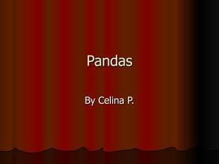Pandas By Celina P. 