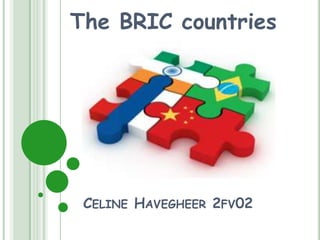 The BRIC countries




 CELINE HAVEGHEER 2FV02
 