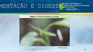 MENTAÇÃO E DIGESTÃO
20
Vídeo 1: Aranha predando um inseto.
FONTE: Youtube
 