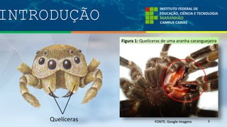 INTRODUÇÃO
3Quelíceras
Figura 1: Quelíceras de uma aranha caranguejeira
FONTE: Google Imagens
 