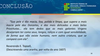 CONCLUSÃO
30
“Sua pele é tão macia, lisa, polida e limpa, que supera a mais
macia pele das Donzelas, e das mais delicadas e mais belas
Prostitutas... ela tem dedos que as mais galantes Virgens
desejariam ter como seus, longos, roliços e com igual sensibilidade,
de forma que não existe humano, nem outra criatura, que se
compare com ela”.
Reverendo E. Topsell,
(Descrevendo uma aranha, por volta do ano 1607)
 