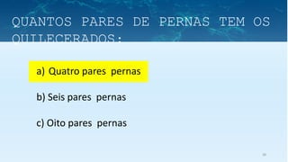38
a) Quatro pares pernas
b) Seis pares pernas
c) Oito pares pernas
QUANTOS PARES DE PERNAS TEM OS
QUILECERADOS:
 
