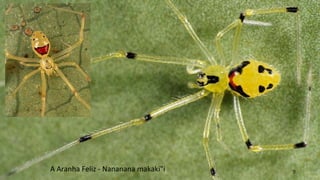 9A Aranha Feliz - Nananana makaki"i
 