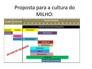 Proposta para a cultura do
MILHO:
0 10 20 30 40 50 60 70 80 90 100 110 120 130 140
Carbamatos Carbamato
Benzoiluréia
Fenilpirazol
Neonicotinóide
Carbamatos (1)
Benzoiluréia (2)
Neonicotinóide (3)
Avermectina (5)
Pré-plantio Trat. Sem. (TS)
Dias após a emergênica
Cultivar Bt com pelo menos 2 (duas) proteínas
Diacilhidrazina (8)
Naturalyte (4)
Biológico (9)
Bloq. Seletivo de Alimimentação
Oxidiazina (6)
Pyrrole (7)
 