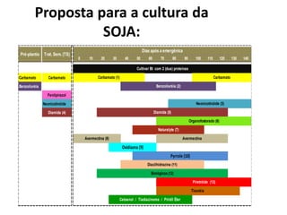 Proposta para a cultura da
SOJA:
0 10 20 30 40 50 60 70 80 90 100 110 120 130 140
Carbamato Carbamato
Benzoiluréia
Fenilpirazol
Neonicotinóide
Diamida (4) Diamida (5)
Pré-plantio Trat. Sem. (TS)
Dias após a emergênica
Neonicotinóide (3)
Cultivar Bt com 2 (dua) proteínas
Carbamato (1) Carbamato
Benzoiluréia (2)
Organofostorado (6)
Avermectina (8) Avermectina
Tiouréia
Cetoenol / Tiadiazinoma / Piridil Éter
Naturalyte (7)
Diacilhidrazina (11)
Biológicos (12)
Piretróide (13)
Pyrrole (10)
Oxidiazna (9)
 