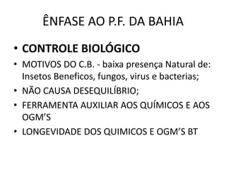 ÊNFASE AO P.F. DA BAHIA
• CONTROLE BIOLÓGICO
• MOTIVOS DO C.B. - baixa presença Natural de:
Insetos Beneficos, fungos, virus e bacterias;
• NÃO CAUSA DESEQUILÍBRIO;
• FERRAMENTA AUXILIAR AOS QUÍMICOS E AOS
OGM’S
• LONGEVIDADE DOS QUIMICOS E OGM’S BT
 