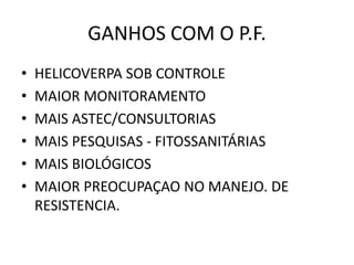GANHOS COM O P.F.
• HELICOVERPA SOB CONTROLE
• MAIOR MONITORAMENTO
• MAIS ASTEC/CONSULTORIAS
• MAIS PESQUISAS - FITOSSANITÁRIAS
• MAIS BIOLÓGICOS
• MAIOR PREOCUPAÇAO NO MANEJO. DE
RESISTENCIA.
 