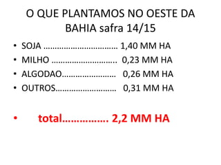 O QUE PLANTAMOS NO OESTE DA
BAHIA safra 14/15
• SOJA …………………………… 1,40 MM HA
• MILHO ……………………….. 0,23 MM HA
• ALGODAO…………………… 0,26 MM HA
• OUTROS……………………… 0,31 MM HA
• total……………. 2,2 MM HA
 