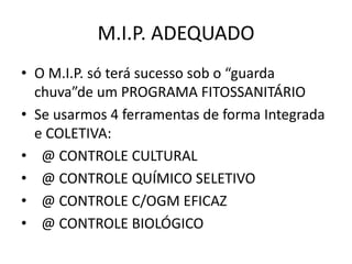 M.I.P. ADEQUADO
• O M.I.P. só terá sucesso sob o “guarda
chuva”de um PROGRAMA FITOSSANITÁRIO
• Se usarmos 4 ferramentas de forma Integrada
e COLETIVA:
• @ CONTROLE CULTURAL
• @ CONTROLE QUÍMICO SELETIVO
• @ CONTROLE C/OGM EFICAZ
• @ CONTROLE BIOLÓGICO
 