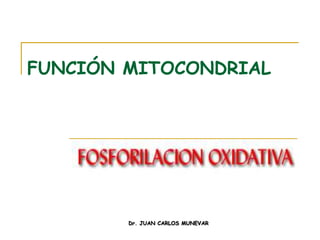 FUNCIÓN MITOCONDRIAL




        Dr. JUAN CARLOS MUNEVAR
 