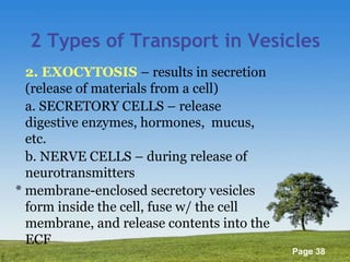 2 Types of Transport in Vesicles 2. EXOCYTOSIS   – results in secretion (release of materials from a cell) a. SECRETORY CELLS – release digestive enzymes, hormones,  mucus, etc. b. NERVE CELLS – during release of neurotransmitters  * membrane-enclosed secretory vesicles form inside the cell, fuse w/ the cell membrane, and release contents into the ECF 