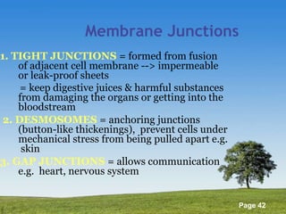 Membrane Junctions 1. TIGHT JUNCTIONS  = formed from fusion of adjacent cell membrane --> impermeable or leak-proof sheets = keep digestive juices & harmful substances from damaging the organs or getting into the bloodstream 2. DESMOSOMES  = anchoring junctions (button-like thickenings),  prevent cells under mechanical stress from being pulled apart e.g.  skin 3. GAP JUNCTIONS  = allows communication e.g.  heart, nervous system 