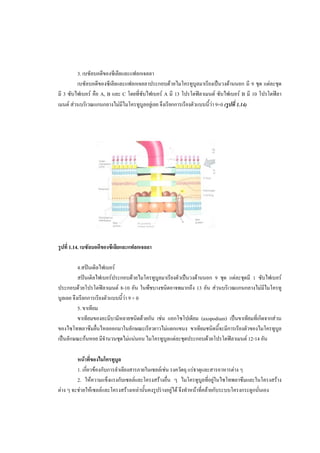 Cell | PDF