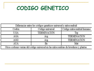 CODIGO GENETICO
 