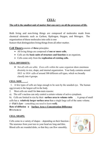 CELL:
The cell is the smallest unit of matter that can carry on all the processes of life.


Both living and non-living things are composed of molecules made from
chemical elements such as Carbon, Hydrogen, Oxygen, and Nitrogen. The
organization of these molecules into cells is one
feature that distinguishes living things from all other matter.

Cell Theoryconsists of three principles:
        All living things are composed of one or more cells.
        Cells are the basic units of structure and function in an organism.
        Cells come only from the replication of existing cells.

CELL DIVERSITY:
        Not all cells are alike. Even cells within the same organism show enormous
        diversity in size, shape, and internal organization. Your body contains around
        1013 to 1014 cells of around 300 different cell types, which we broadly
        classify into 4 groups.

CELL SIZE          :

 1. A few types of cells are large enough to be seen by the unaided eye. The human
egg (ovum) is the largest cell in the body
2. Most cells are small for two main reasons:
a). The cell’s nucleus can only control a certain volume of active cytoplasm.
b). Cells are limited in size by their surface area to volume ratio . A group of small
cells has a relatively larger surface area than a single large cell of the same volume.
(= Fick’s Law – something you need to learn well).
Rate of diffusion α Surface Area x Concentration Difference
Distance

CELL SHAPE:

Cells come in a variety of shapes – depending on their function:-
The neurones from your toes to your head are long and thin;
Blood cells are rounded disks, so that they can flow smoothly.
 