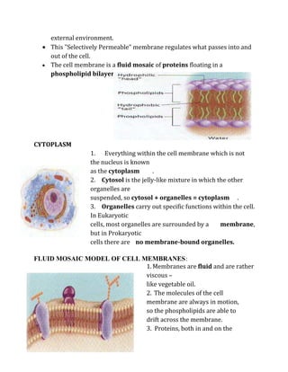 external environment.
     This "Selectively Permeable" membrane regulates what passes into and
     out of the cell.
     The cell membrane is a fluid mosaic of proteins floating in a
     phospholipid bilayer.




CYTOPLASM
                  1. Everything within the cell membrane which is not
                  the nucleus is known
                  as the cytoplasm       .
                  2. Cytosol is the jelly-like mixture in which the other
                  organelles are
                  suspended, so cytosol + organelles = cytoplasm .
                  3. Organelles carry out specific functions within the cell.
                  In Eukaryotic
                  cells, most organelles are surrounded by a     membrane,
                  but in Prokaryotic
                  cells there are no membrane-bound organelles.

FLUID MOSAIC MODEL OF CELL MEMBRANES :
                            1. Membranes are fluid and are rather
                            viscous –
                            like vegetable oil.
                            2. The molecules of the cell
                            membrane are always in motion,
                            so the phospholipids are able to
                            drift across the membrane.
                            3. Proteins, both in and on the
 