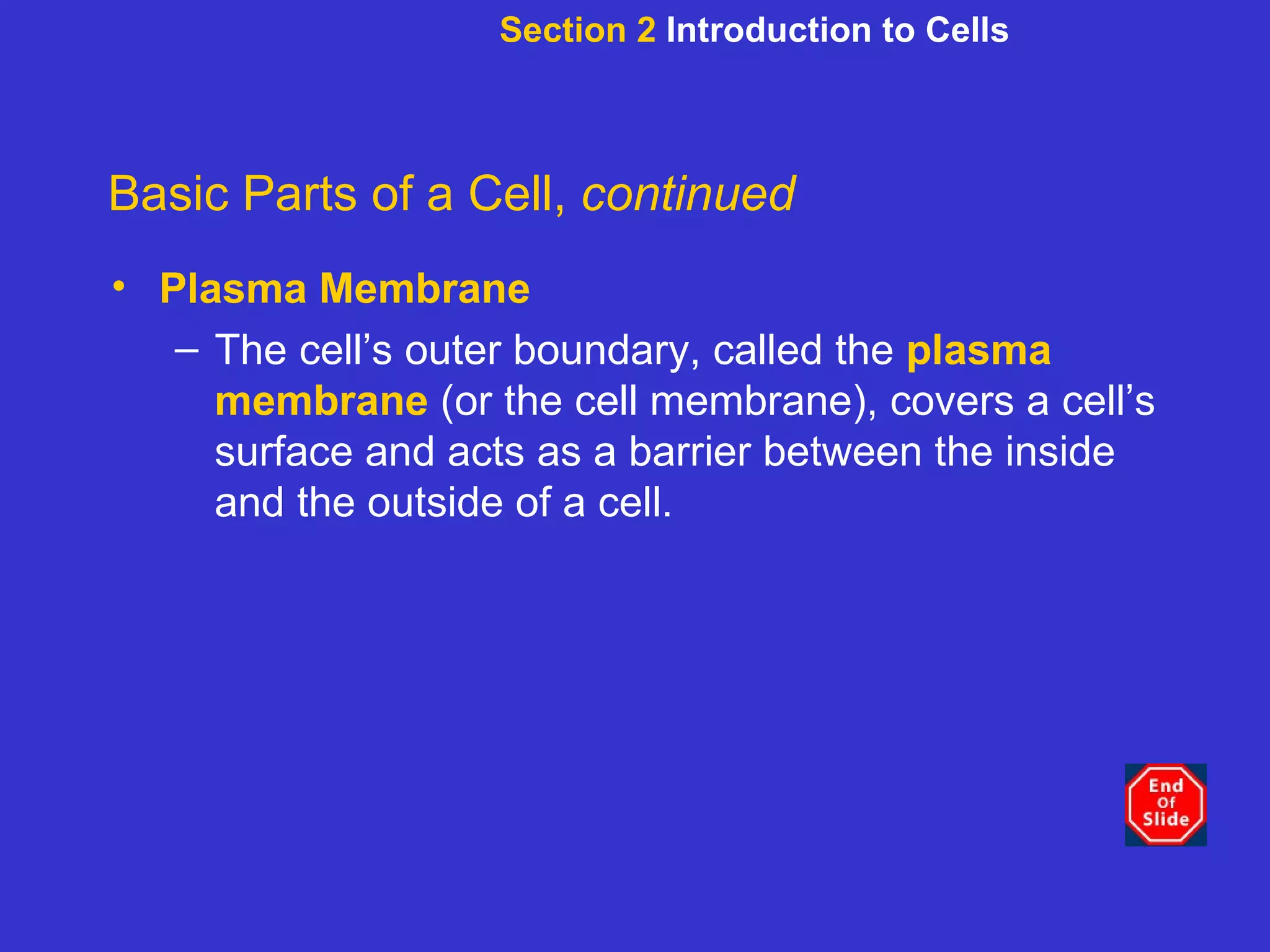 Section 2  Introduction to Cells Basic Parts of a Cell,  continued Plasma Membrane The cell’s outer boundary, called the   plasma membrane   (or the cell membrane), covers a cell’s surface and acts as a barrier between the inside and the outside of a cell.   