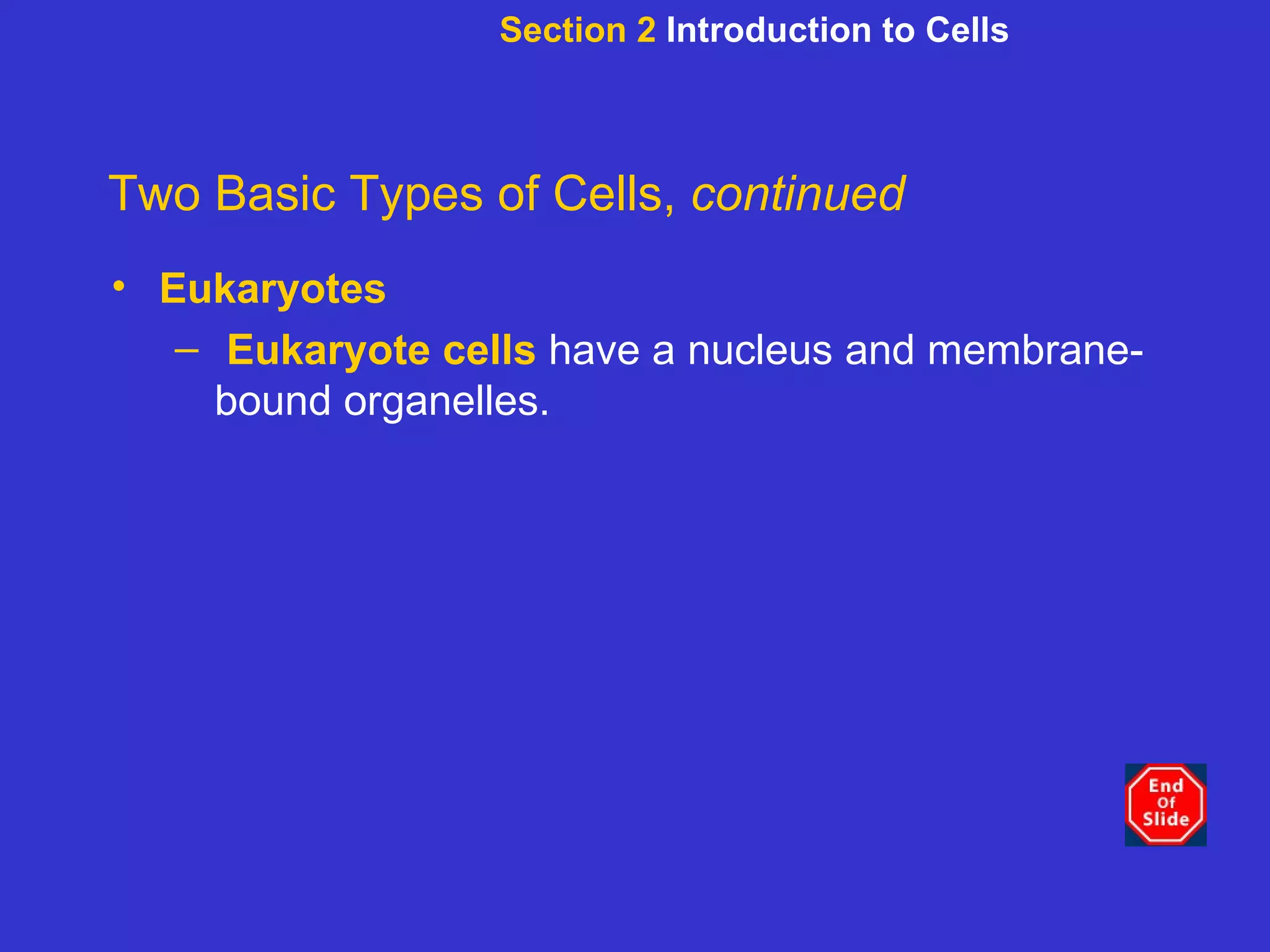 Section 2  Introduction to Cells Two Basic Types of Cells,  continued Eukaryotes Eukaryote cells  have a nucleus and membrane-bound organelles. 