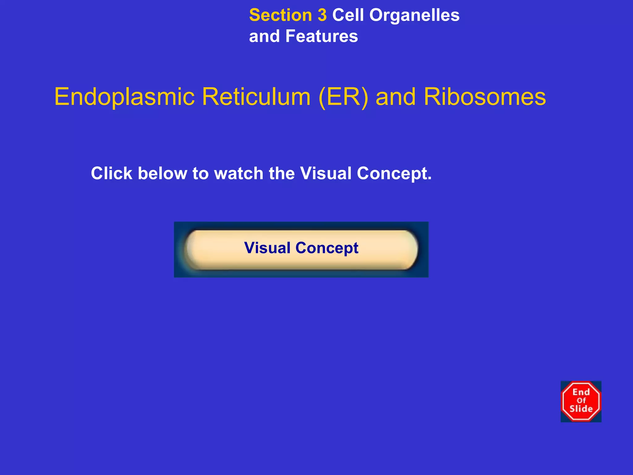 Click below to watch the Visual Concept. Visual Concept Endoplasmic Reticulum (ER) and Ribosomes Section 3  Cell Organelles and Features 