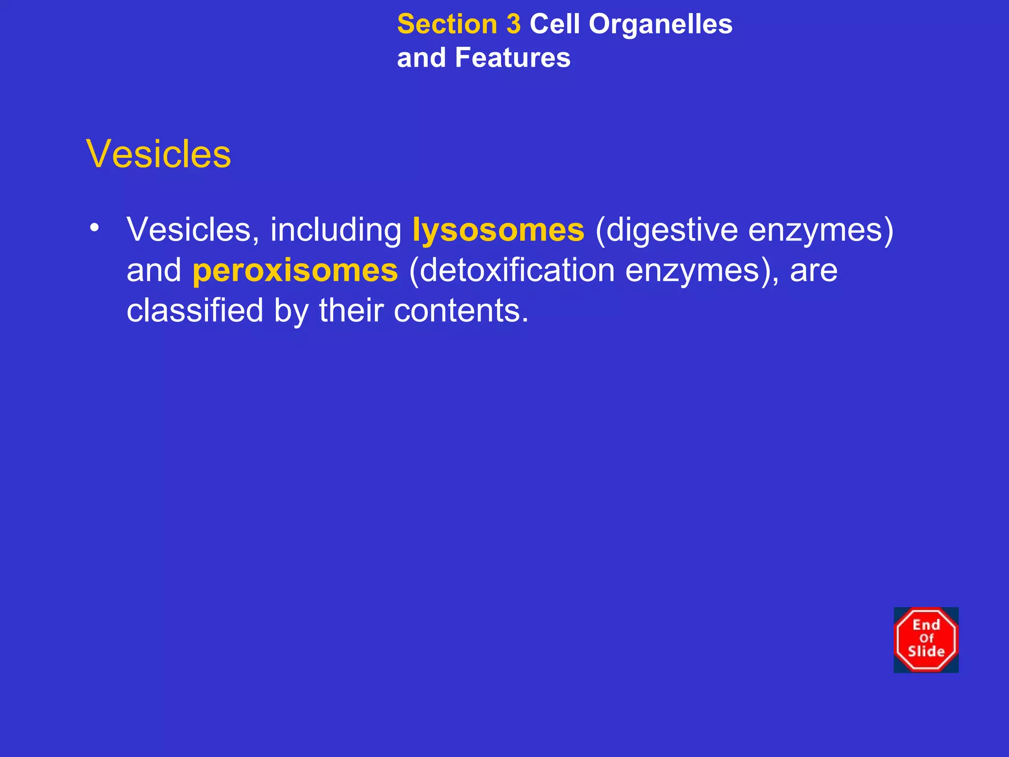 Vesicles Vesicles, including  lysosomes  (digestive enzymes) and  peroxisomes  (detoxification enzymes), are classified by their contents. Section 3  Cell Organelles and Features 