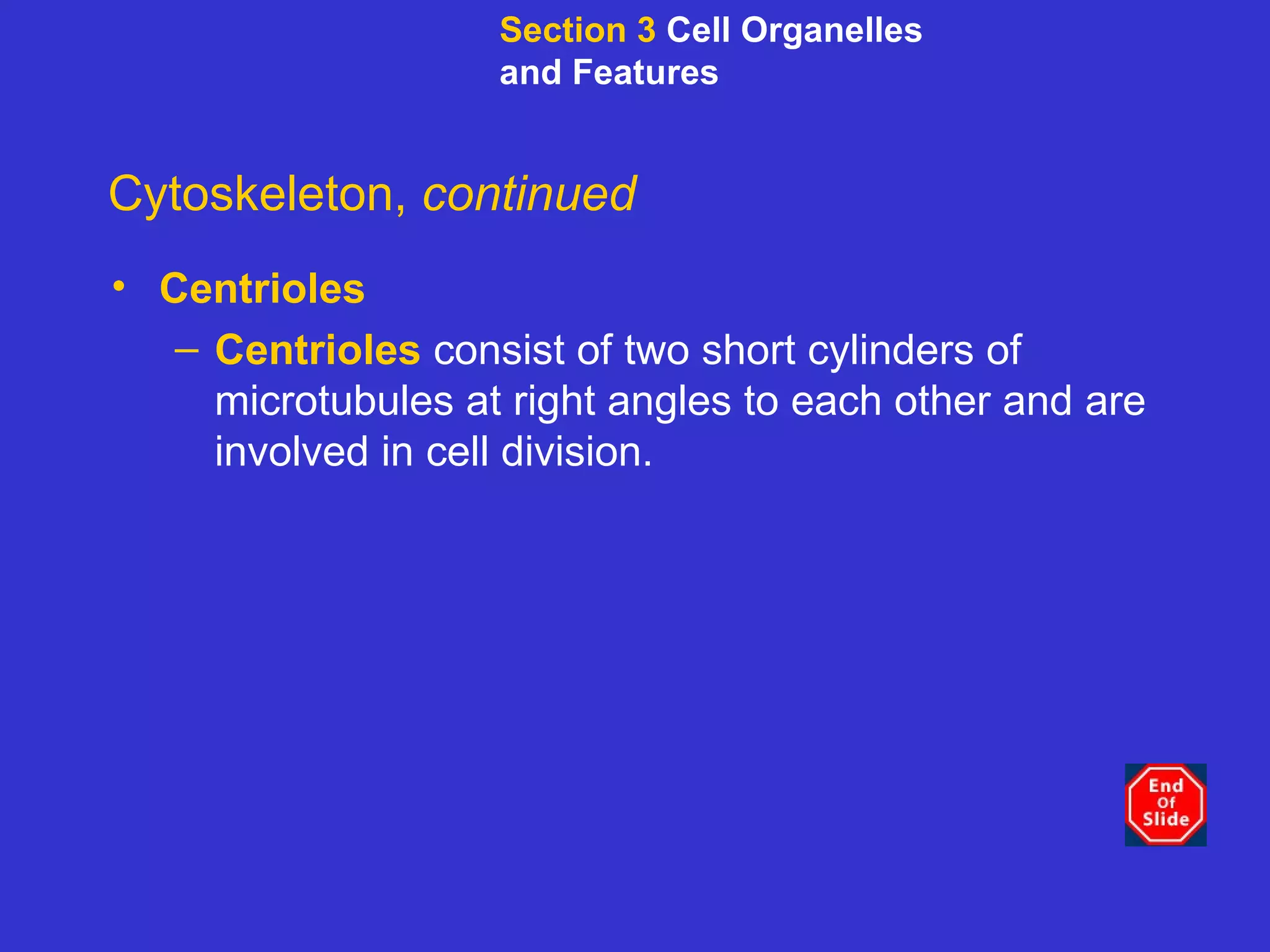 Cytoskeleton,  continued Centrioles Centrioles   consist of two short cylinders of microtubules at right angles to each other and are involved in cell division.   Section 3  Cell Organelles and Features 