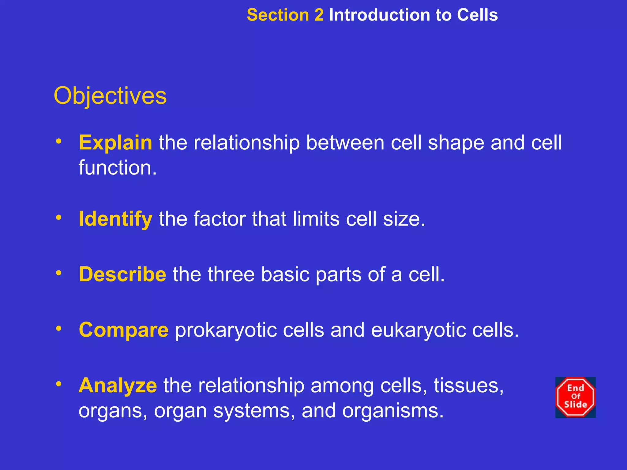 Section 2  Introduction to Cells Objectives Explain  the relationship between cell shape and cell function. Identify  the factor that limits cell size. Describe   the three basic parts of a cell. Compare   prokaryotic cells and eukaryotic cells. Analyze   the relationship among cells, tissues, organs, organ systems, and organisms. 