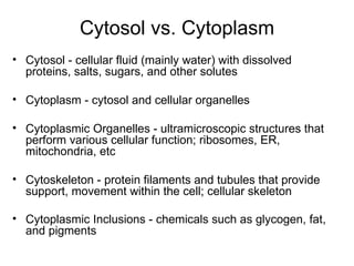 Cytosol vs. Cytoplasm Cytosol - cellular fluid (mainly water) with dissolved proteins, salts, sugars, and other solutes Cytoplasm - cytosol and cellular organelles  Cytoplasmic Organelles - ultramicroscopic structures that perform various cellular function; ribosomes, ER, mitochondria, etc Cytoskeleton - protein filaments and tubules that provide support, movement within the cell; cellular skeleton Cytoplasmic Inclusions - chemicals such as glycogen, fat, and pigments   