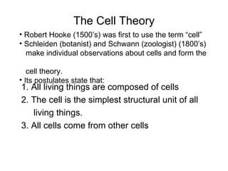 The Cell Theory 1. All living things are composed of cells  2. The cell is the simplest structural unit of all  living things. 3. All cells come from other cells Robert Hooke (1500’s) was first to use the term “cell” Schleiden (botanist) and Schwann (zoologist) (1800’s)  make individual observations about cells and form the  cell theory. Its postulates state that: 