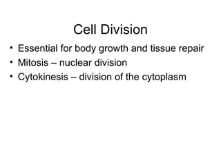 Cell Division Essential for body growth and tissue repair Mitosis – nuclear division Cytokinesis – division of the cytoplasm 