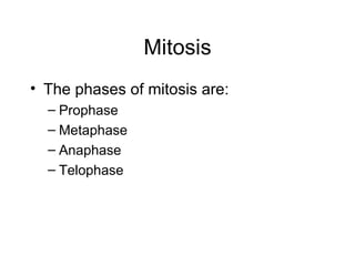 Mitosis The phases of mitosis are: Prophase Metaphase Anaphase Telophase 