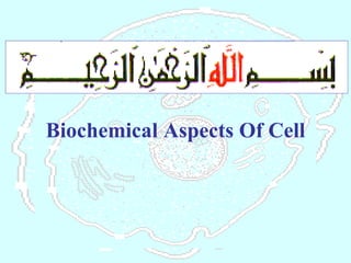 Biochemical Aspects Of Cell 