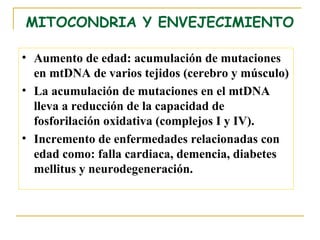 MITOCONDRIA Y ENVEJECIMIENTO

• Aumento de edad: acumulación de mutaciones
  en mtDNA de varios tejidos (cerebro y músculo)
• La acumulación de mutaciones en el mtDNA
  lleva a reducción de la capacidad de
  fosforilación oxidativa (complejos I y IV).
• Incremento de enfermedades relacionadas con
  edad como: falla cardiaca, demencia, diabetes
  mellitus y neurodegeneración.
 
