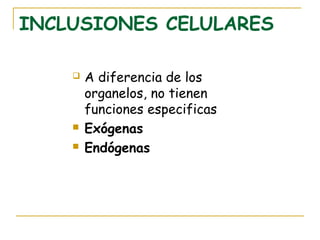 INCLUSIONES CELULARES

       A diferencia de los
        organelos, no tienen
        funciones especificas
       Exógenas
       Endógenas
 
