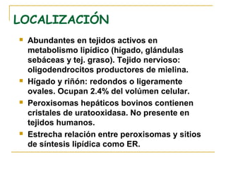 LOCALIZACIÓN
   Abundantes en tejidos activos en
    metabolismo lipídico (hígado, glándulas
    sebáceas y tej. graso). Tejido nervioso:
    oligodendrocitos productores de mielina.
   Hígado y riñón: redondos o ligeramente
    ovales. Ocupan 2.4% del volúmen celular.
   Peroxisomas hepáticos bovinos contienen
    cristales de uratooxidasa. No presente en
    tejidos humanos.
   Estrecha relación entre peroxisomas y sitios
    de síntesis lipídica como ER.
 
