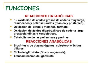 FUNCIONES
             REACCIONES CATABÓLICAS
    β - oxidación de ácidos grasos de cadena muy larga,
     ramificados y poliinsaturados (fitánico y pristánico).
    Oxidación del etanol / metanol / formato
    Oxidación de ácidos dicarboxílicos de cadena larga,
     prostaglandinas y xenobióticos.
    Catabolismo de las poliaminas y purinas.
              REACCIONES ANABÓLICAS
    Biosíntesis de plasmalógenos, colesterol y ácidos
     biliares.
    Ciclo del glioxilato (Gluconeogénesis).
    Transaminación del glioxilato.
 
