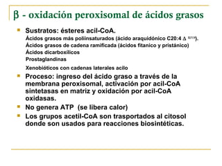 β - oxidación peroxisomal de ácidos grasos
   Sustratos: ésteres acil-CoA.
    Ácidos grasos más poliinsaturados (ácido araquidónico C20:4 ∆ 5,8,11,14).
    Ácidos grasos de cadena ramificada (ácidos fitanico y pristánico)
    Ácidos dicarboxílicos
    Prostaglandinas
    Xenobióticos con cadenas laterales acilo
   Proceso: ingreso del ácido graso a través de la
    membrana peroxisomal, activación por acil-CoA
    sintetasas en matriz y oxidación por acil-CoA
    oxidasas.
   No genera ATP (se libera calor)
   Los grupos acetil-CoA son trasportados al citosol
    donde son usados para reacciones biosintéticas.
 