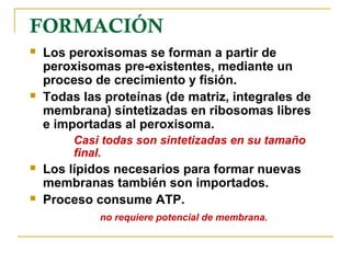 FORMACIÓN
   Los peroxisomas se forman a partir de
    peroxisomas pre-existentes, mediante un
    proceso de crecimiento y fisión.
   Todas las proteínas (de matriz, integrales de
    membrana) síntetizadas en ribosomas libres
    e importadas al peroxisoma.
         Casi todas son sintetizadas en su tamaño
         final.
   Los lípidos necesarios para formar nuevas
    membranas también son importados.
   Proceso consume ATP.
             no requiere potencial de membrana.
 