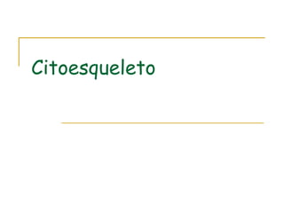 Citoesqueleto
 