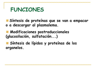 FUNCIONES
  Síntesis de proteínas que se van a empacar
o a descargar al plasmalema.
   Modificaciones postraduccionales
(glucosilación, sulfatación...)
  Síntesis de lípidos y proteínas de los
organelos.
 